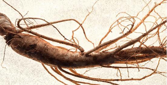 不同肤质如何选择靠谱面霜,怎样选择一款适合自己的面霜