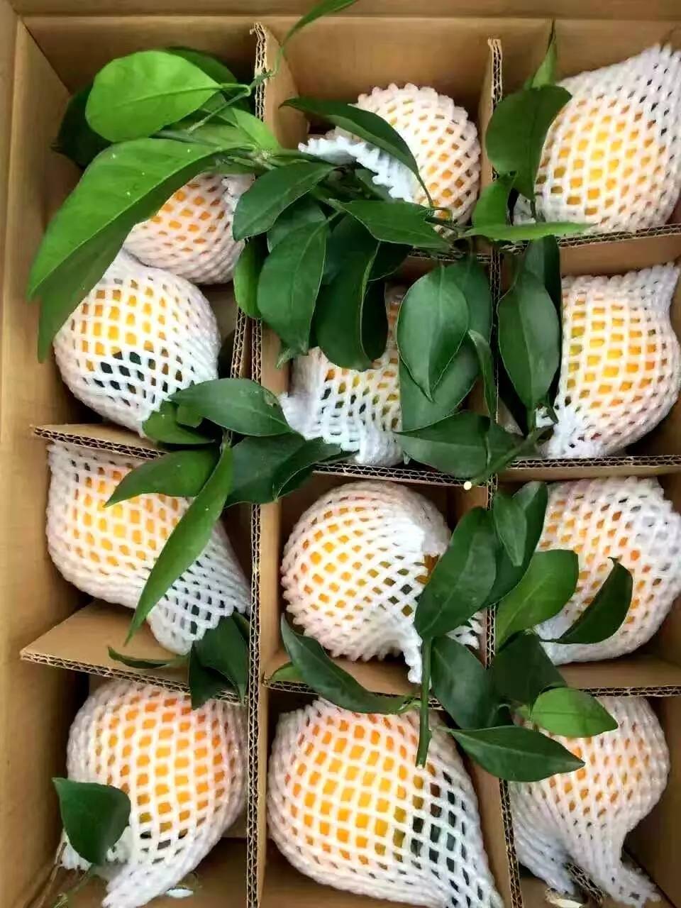 丹棱电商人刘书伶：坚守诚信，赢得广阔市场！