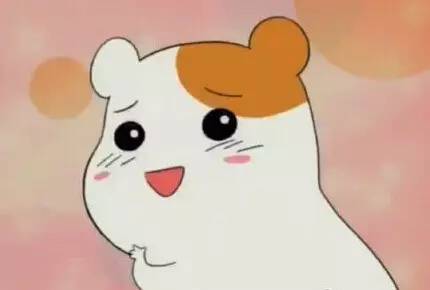 五大快递涨价,五大快递是哪些