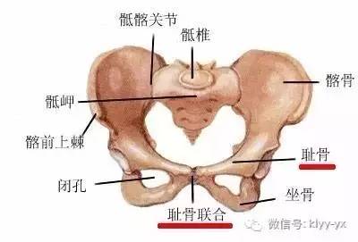 孕期身体不适的缓解方法,孕妇晚期保健知识