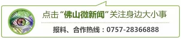 说走就走机场,说走就走粤港澳