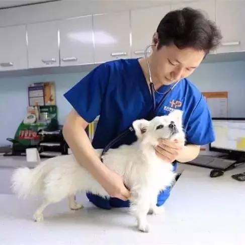 喂！住一晚160块，看次病成千上万！武汉这些狗活得太好了吧！