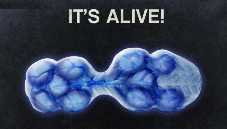 最辉煌的蜂巢年代，可惜一去不复返