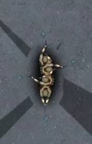 最火爆的战术射击游戏,讲究策略的射击游戏