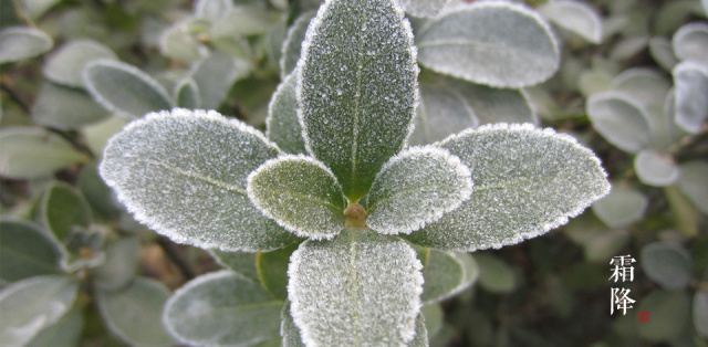 天气渐冷秋冬季如何养生需注意,天气冷保暖养生