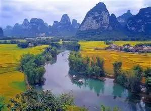 头条|再有人说广西没有秋天，就把这条微信甩给TA看！