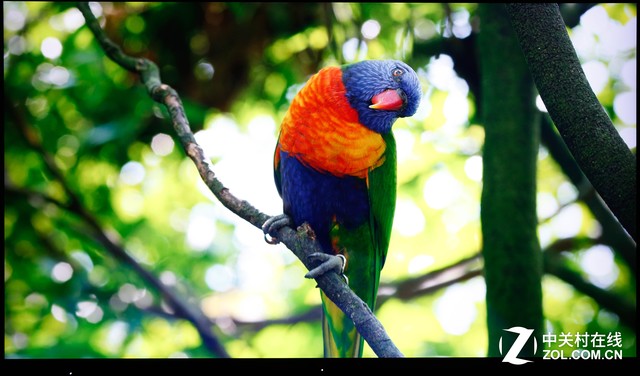 极致操控测评,海美迪h7要不要升级