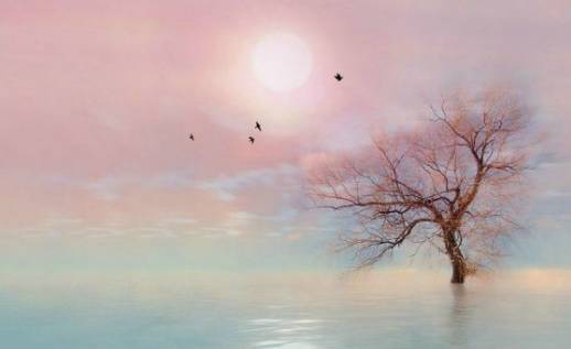 要不要给孩子培养各种兴趣班,要不要培养孩子艺术