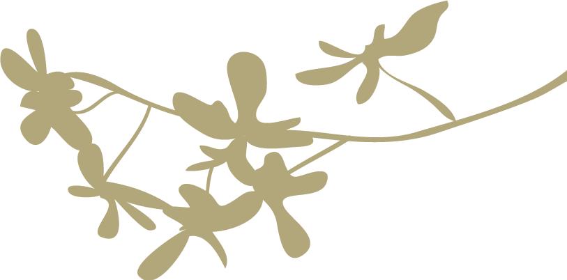 同仁医院肛肠,北京同仁医院南区肛肠手术