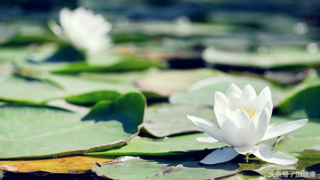 增加健康小知识,增加健康科普小常识