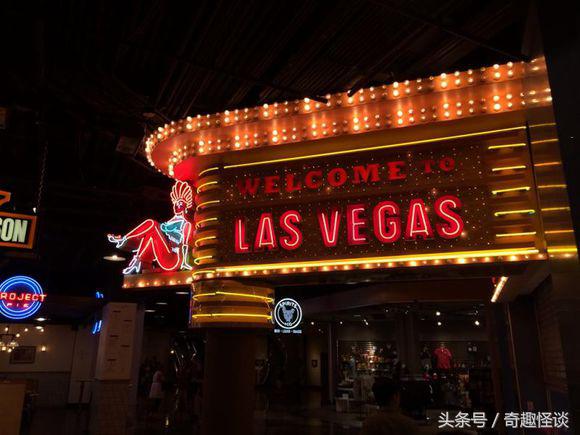 在美国旅游日常,在美国旅游攻略大全最新