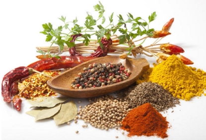 调节男性内分泌,中药调节内分泌