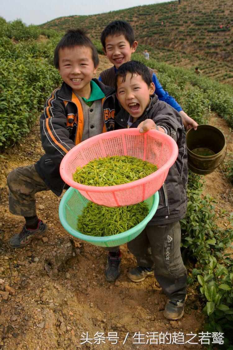 我的家乡崇阳市,家乡美我的故乡原唱