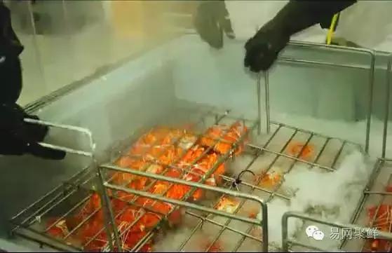 海鲜陆冻和船冻,近海海鲜与船冻海鲜区别