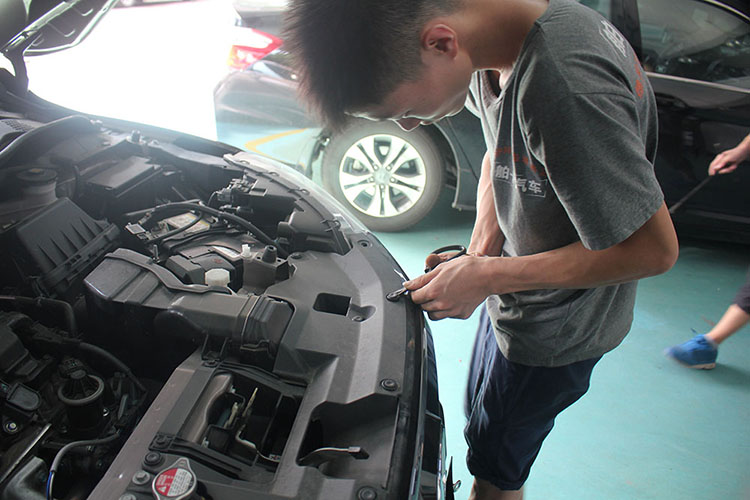 本田xrv卤素灯,本田xrv卤素灯有必要换吗