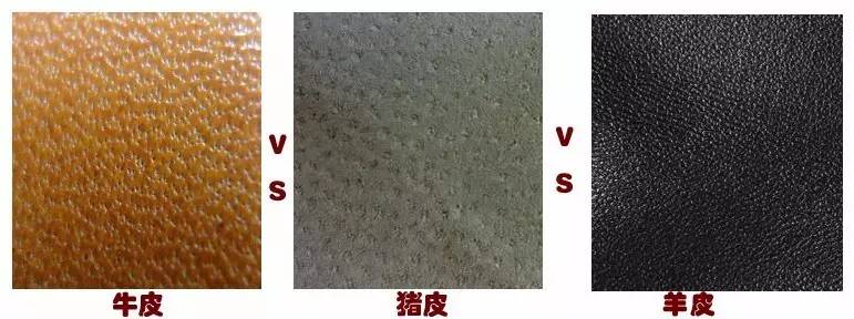 认识和识别质量问题,认识真假物品