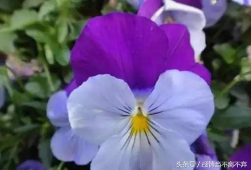 打工幽默顺口溜句子,卖货搞笑顺口溜经典句子