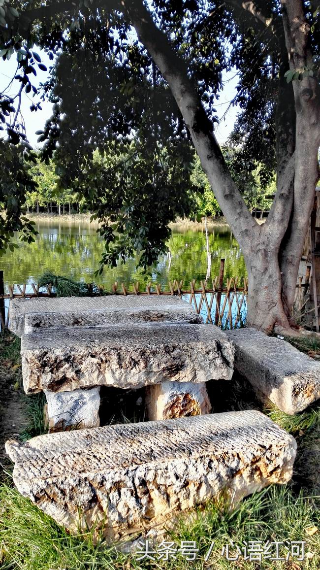 尼苏小镇打卡地,尼苏小镇是哪里