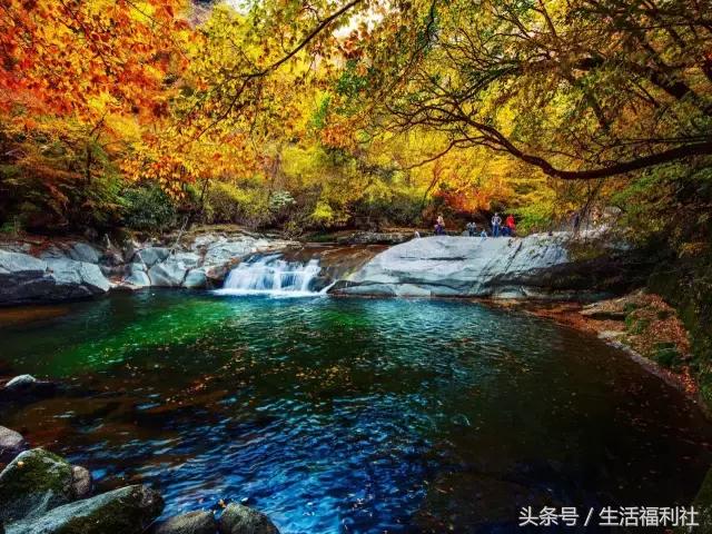 什么能够代表哈尔滨,哈尔滨代表人