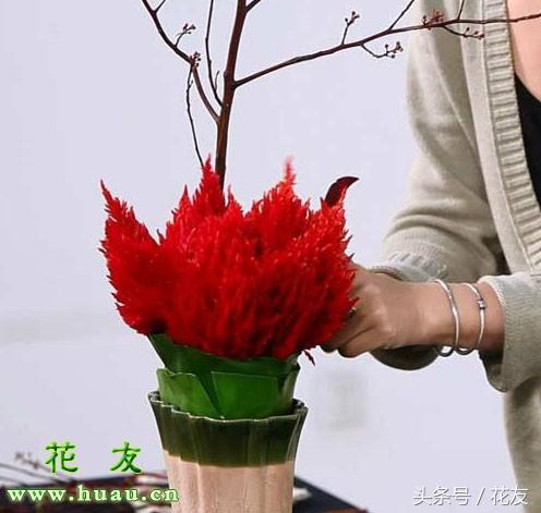 插花花艺制作过程学习,多种风格插花教程