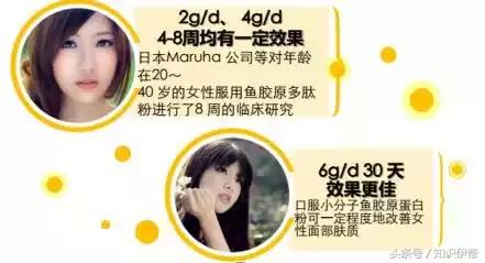 胶原蛋白是什么东西提炼出来的,胶原蛋白是什么