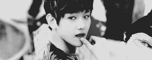 exo有生之年系列,exo你绝对没看过的系列