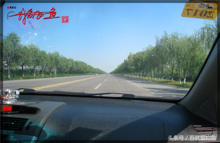 原创我爱飞鱼耍耍耍