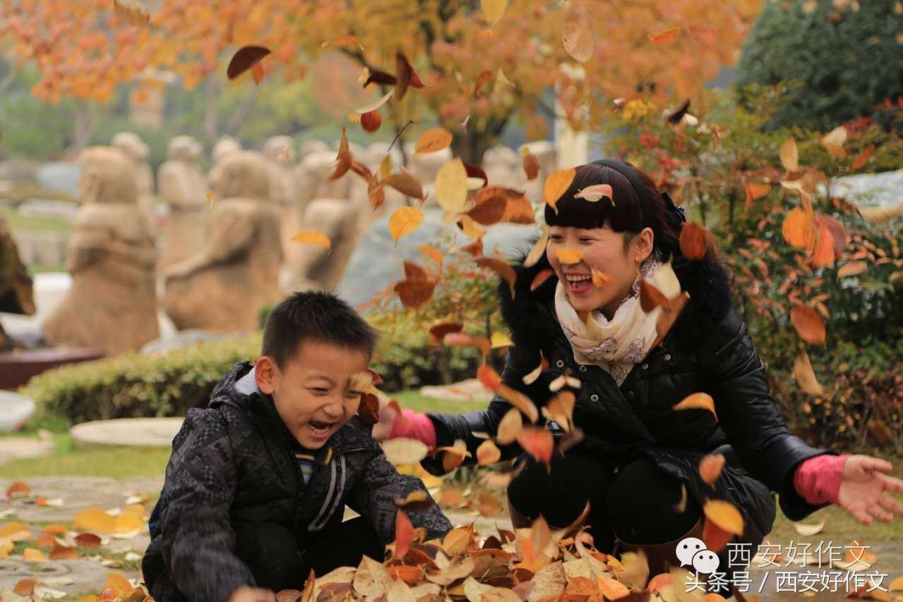 唐苑秋日落英缤纷一张旧照饱含亲情,听娃讲作文