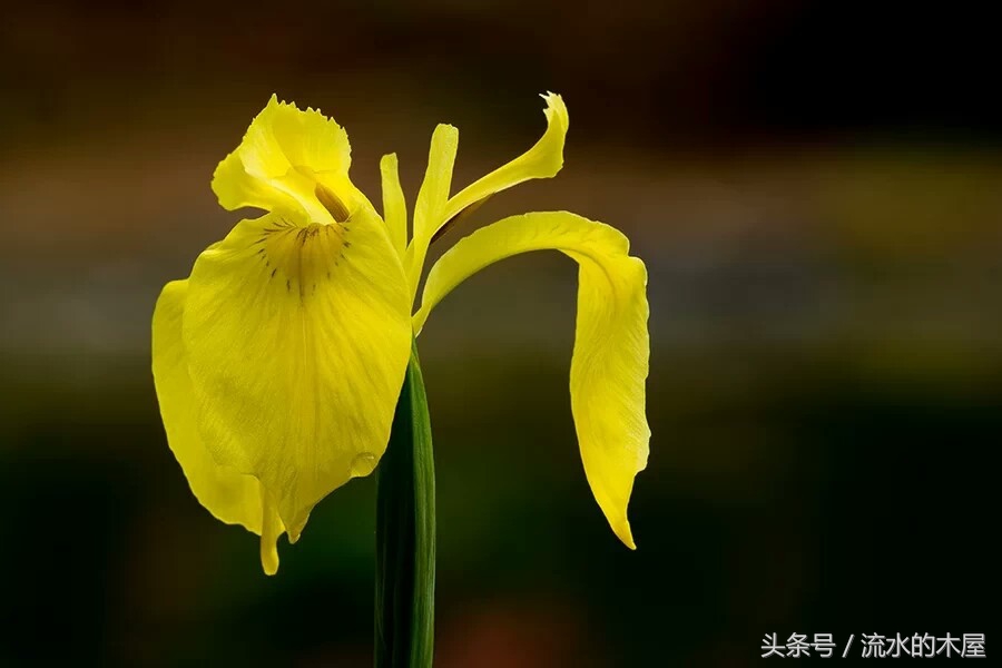 毕业后你会忘了我吗怎么回复,当一个男生问你还记得我吗