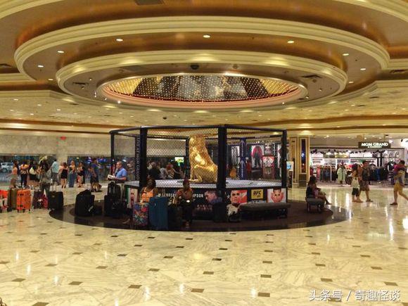 在美国旅游日常,在美国旅游攻略大全最新