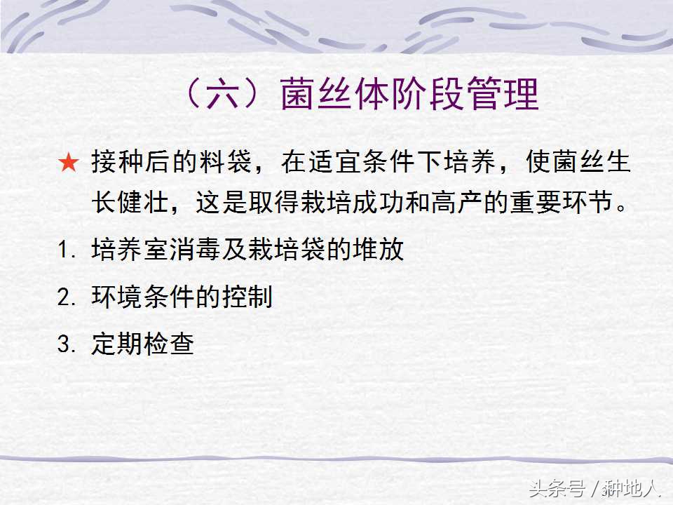 香菇栽培实用技术教案,屋顶香菇栽培