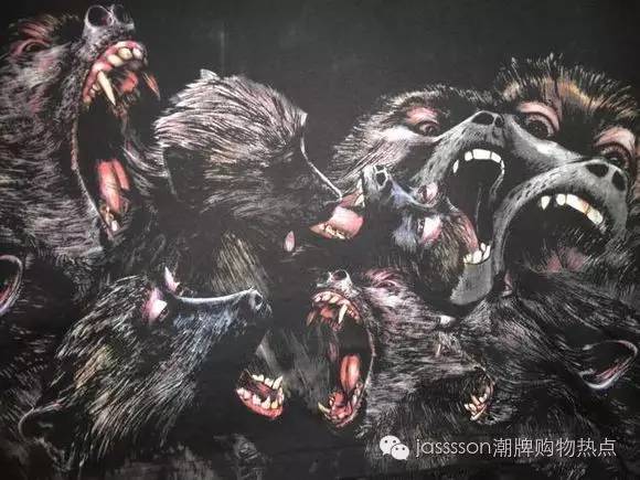 时尚界的动物元素,动物进化论