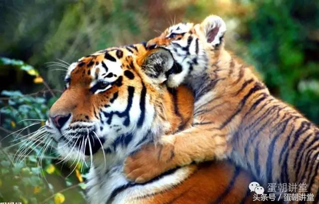 30买了一辆汽车开去打“Golf”，却被保安大叔拦下！