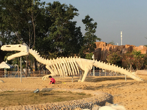 厉害了word哥图片,厉害了word哥视频