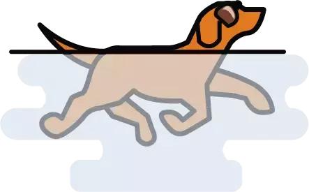 裸泳三人行｜创业与道德真的是好苹果装进了坏木桶么？