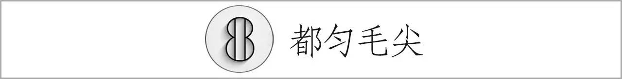 安徽名茶中被列为中国十大名茶,十大名茶为何没有湖南安化的黑茶