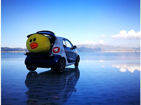 他们都以为我开smart去大理了...蓝鹅事实是...