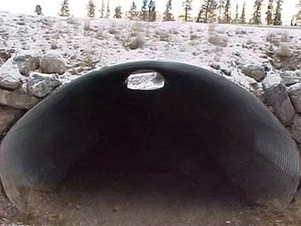 为什么这么多人要去加拿大,去加拿大最应该了解哪些事情