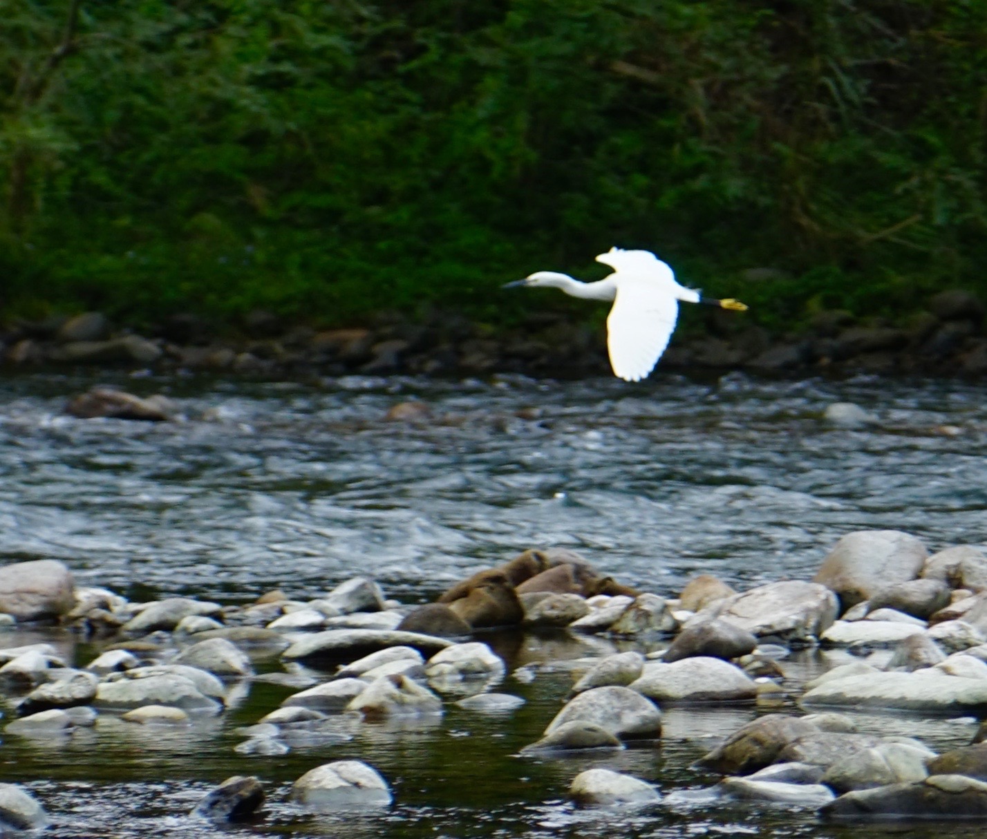 温州三八妇女节好玩的地方,温州三八节活动