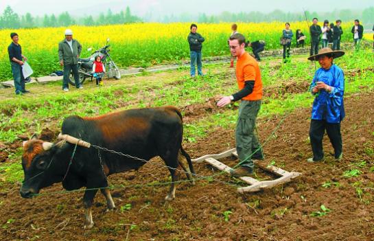 最近农业投资方向,农业投资方向及建议
