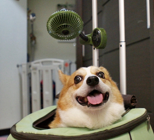 捞干货|渣男第一名:妈妈fan!我们把他抓出来你记得远离他