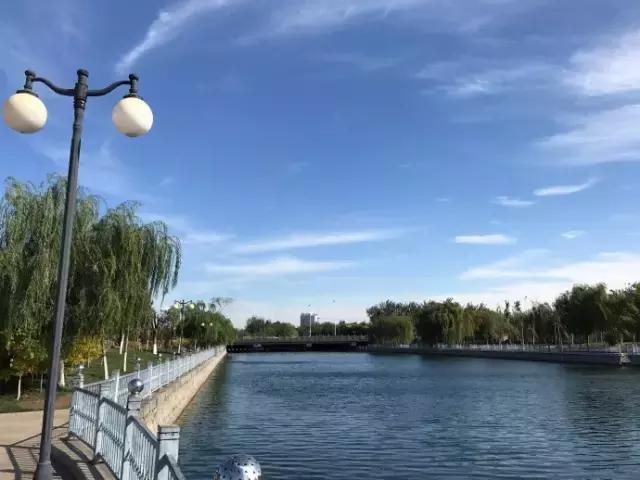 今天的蓝天已经被天津人玩坏,据说这都是它闹的