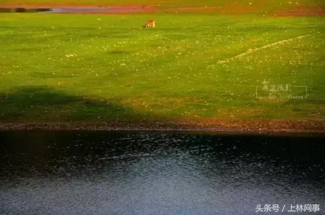 上林哪里有好玩的风景,上林风景最美的景区