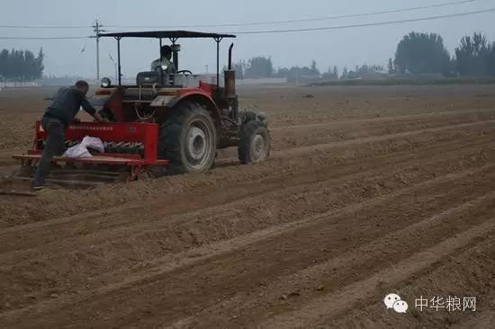 小雨绵绵正是水稻播种的时节,阴雨缠绵雨林