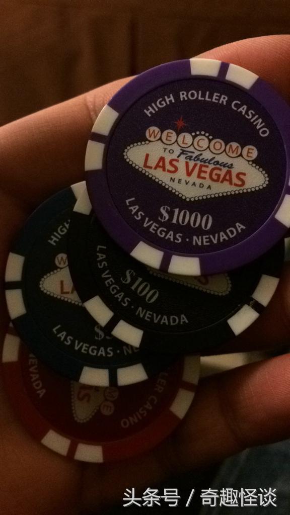 在美国旅游视频教学,美国自由行自驾游