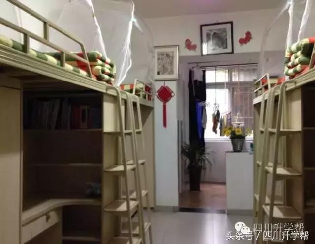 “德瑞系”三大名校——成外、实外、实外西区,究竟谁更牛?