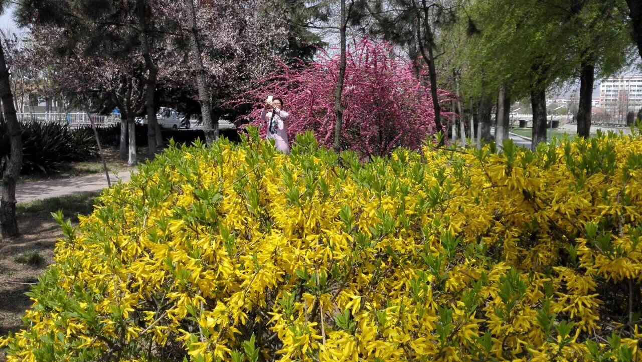 冬季钓鲫鱼饵料用什么配方最佳,冬季鲫鱼诱饵