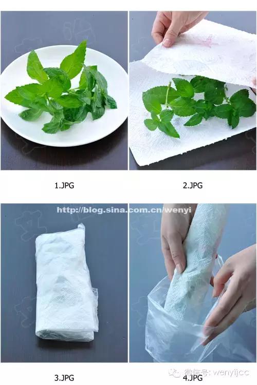 吃不完的蔬菜怎么存放更保鲜,各种蔬菜的长时间储存方法