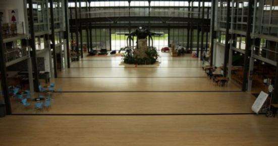 怪兽电力公司会有续集吗,怪兽电力公司全集中文版高清