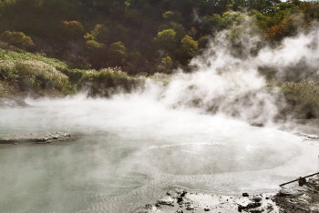 初秋日本快步东京，慢行北海道，泡汤美食8日